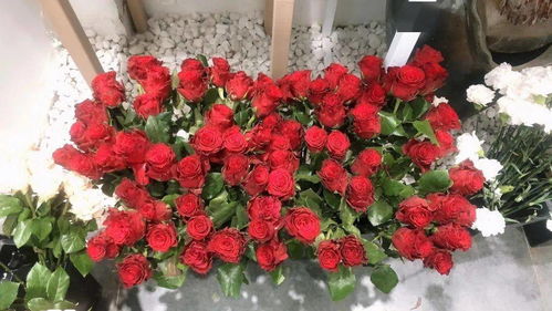 探店日記丨520禮物首選，花所為你精心準(zhǔn)備，送給心愛的她