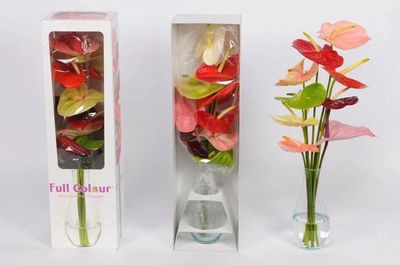 顏值與內(nèi)涵并存——GET這份“崇明版”新年伴手禮清單，讓禮品花卉傳遞新春祝福