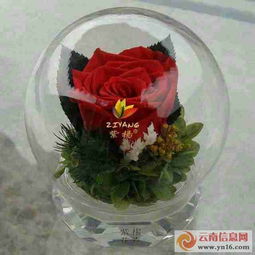 保鮮花與永生花 禮品花卉銷售的新趨勢(shì)與商機(jī)